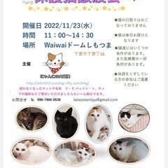 猫譲渡会:waiwaiドームしもつま