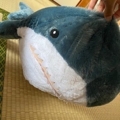 決定！サメ　超BIGぬいぐるみの画像