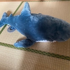 決定！サメ　超BIGぬいぐるみ