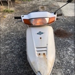 AF24タクト
