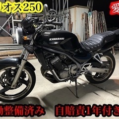 バリオス250 実働軽整備済み　自賠責1年　即乗り可能