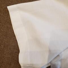 ディースクエアードTシャツ(Msize)の画像