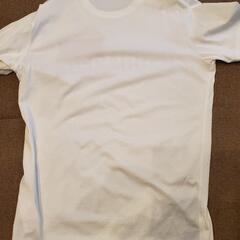 ディースクエアードTシャツ(Msize)の画像