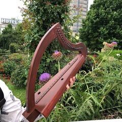 金属弦アイリッシュ・ハープ教室の画像