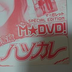 ハツカレー DVD 2006年当時の画像