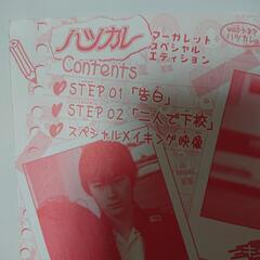 ハツカレー DVD 2006年当時の画像