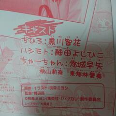 ハツカレー DVD 2006年当時の画像