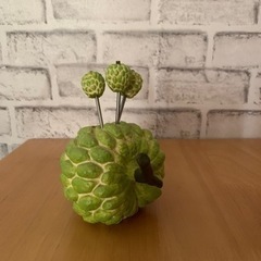 イチゴとメロンのフルーツフォークピックの画像