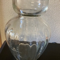 水耕栽培用の花瓶の画像