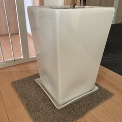 本日限定値下げ元値15000円　値下げ交渉可　鉢植え　プランター　ツピタンサスの画像