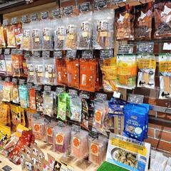 店舗スタッフ募集！ペットグッズ販売・SNS運用・ペットのお世話の画像