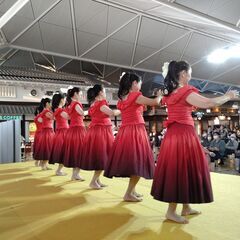 【金山】土曜13:10～優しいフラ◆40～60代◆初心者募集◆振...