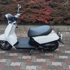 再投稿しました。 af61トゥデイ、ホワイト、カスタム車、カウル新品、キビキビ走ります。ウーバー、通勤、通学、カスタムベースにの画像