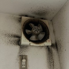 換気扇清掃