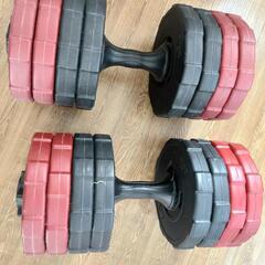 20kgダンベル×2