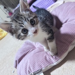 里親様決定♡