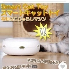 招き猫（大）[マネキネコ（ダイ）]｜沈壽官窯（ちんじゅかんがま
