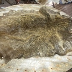 三重県北勢地域で狩猟教えてくれる方募集