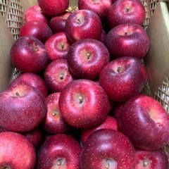 旬りんご🍎 シナノほっぺ 1kg~ その他品種あり