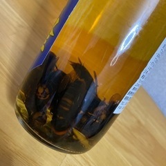 決まりました　リキュール　スズメバチのお酒　未開封の画像