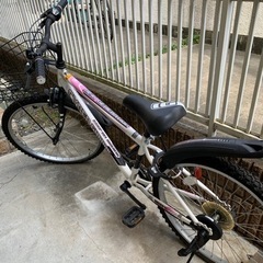 CYBER GIMMICK Next Generation 20インチ 子供用自転車 マウンテンバイクの画像
