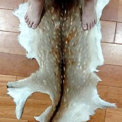 狩猟教えます。未来農園　狩猟部
