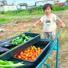 【城陽】もみ殻分けていたいだけませんか？