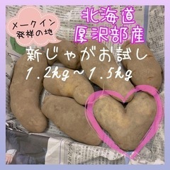 訳あり 厚沢部町 メークイン 北海道産 じゃがいも 農家産直 約...