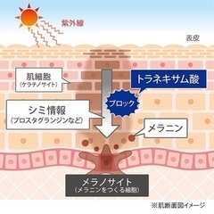 エステラボ　肝斑やシミに！ ホワイトエッセンス60ml 新品¥4,840→¥3,650の画像