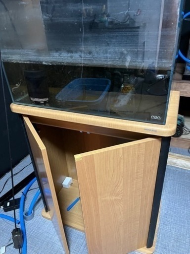ADA60センチ水槽＋ニッソー水槽台