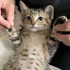 甘えん坊のツバサ君
