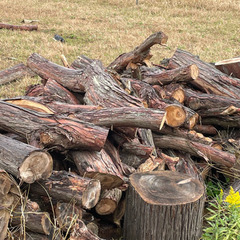 薪　あげます。チェンソー、薪割り機使えます。道路脇なので積み込み作業楽々ですの画像