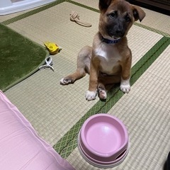 お話し中        生後約2ヶ月半  男の子✨