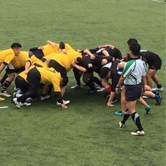 メンバー募集🏉‼️ - スポーツ
