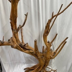 🌟和を全面に出したインテリア‼️🌟ご家庭の和室はもちろん個展等の飾りにも‼️🌟の画像