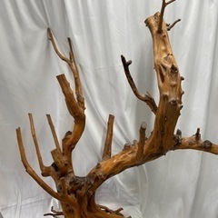 🌟和を全面に出したインテリア‼️🌟ご家庭の和室はもちろん個展等の...