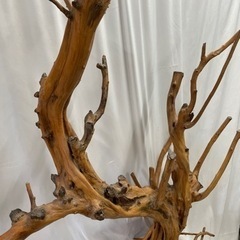 🌟和を全面に出したインテリア‼️🌟ご家庭の和室はもちろん個展等の飾りにも‼️🌟の画像