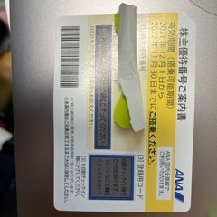 ANA株主優待券　2022.11 期限