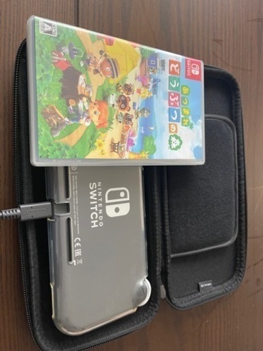 中古switchライトどう森セット