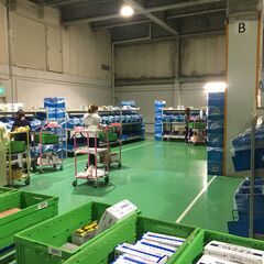 10時～13時倉庫内仕分けスタッフ(日用品・医薬品等ピッキング)の画像