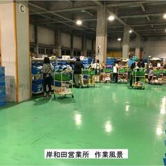 10時～13時倉庫内仕分けスタッフ(日用品・医薬品等ピッキング)の画像