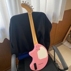 決まってしまいました象さんギターの画像