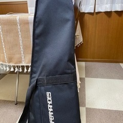 決まってしまいました象さんギターの画像