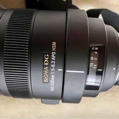 📸ニコンNikon一眼レフカメラ・SIGMA望遠レンズセットの画像