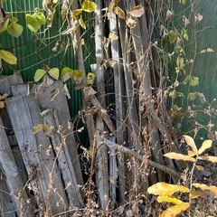 木材、廃材、引き取りに来て頂けませんか？の画像