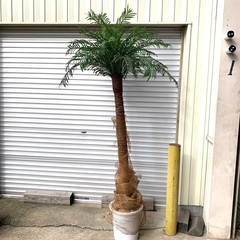 フェイクグリーン 観葉植物 人工観葉植物  高さ約210cm  インテリア オフィス 等の画像