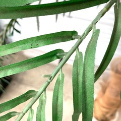 フェイクグリーン 観葉植物 人工観葉植物  高さ約210cm  インテリア オフィス 等の画像