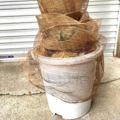 フェイクグリーン 観葉植物 人工観葉植物  高さ約210cm  インテリア オフィス 等の画像