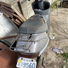 不動車 原付の画像