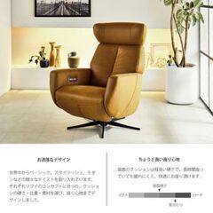 一人掛けリクライニングチェアー　Menteの画像